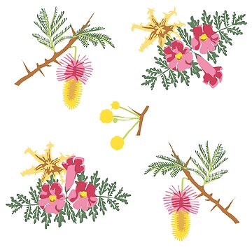 Artwork thumbnail, desert flowers / desert flowers by Sascha Kläger