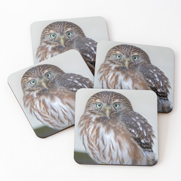 Item preview, Ferruginous Pygmy Owl designed and sold by Krys Bailey.