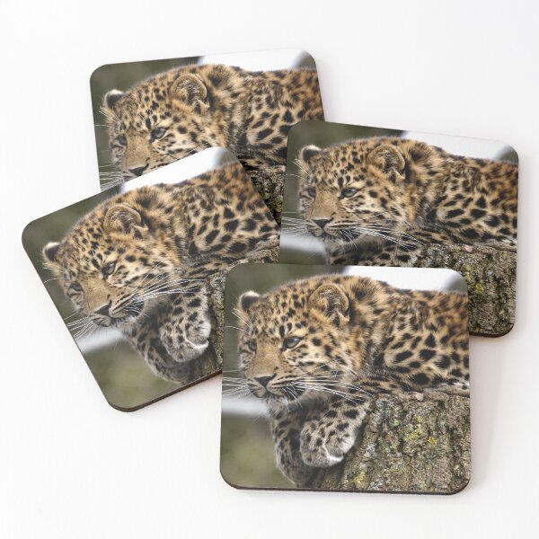 Item preview, Amur Leopard Cub designed and sold by Krys Bailey.