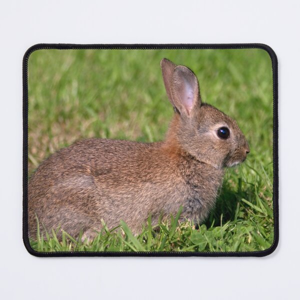 Item preview, Baby European Wild Rabbit designed and sold by Krys Bailey.