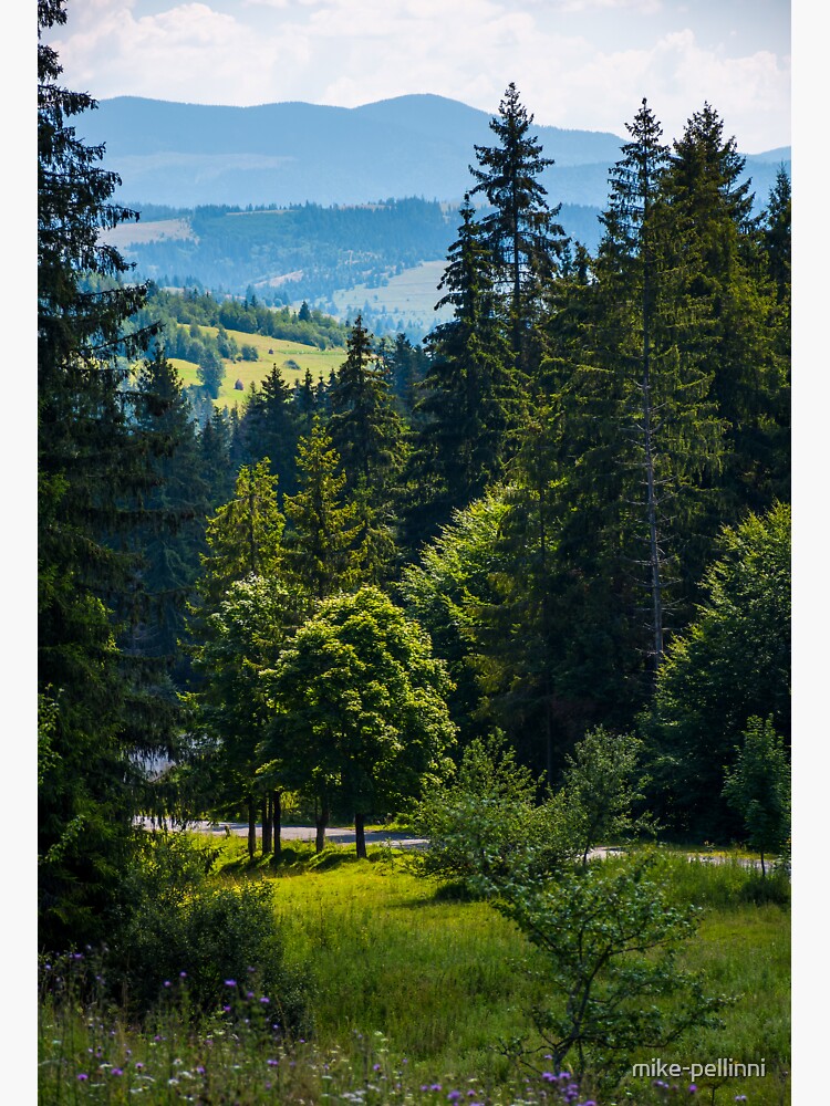 Thumbnail 3 of 3, Sticker, spot of light on some trees in forest designed and sold by mike-pellinni.