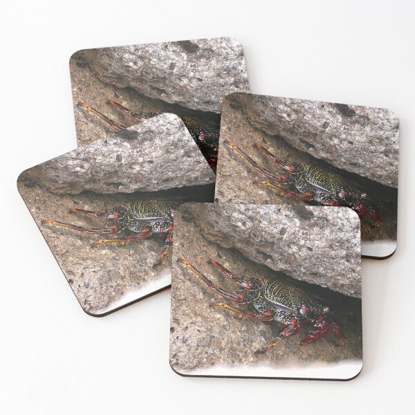 Item preview, Red Rock Crab designed and sold by Nicole Gath.