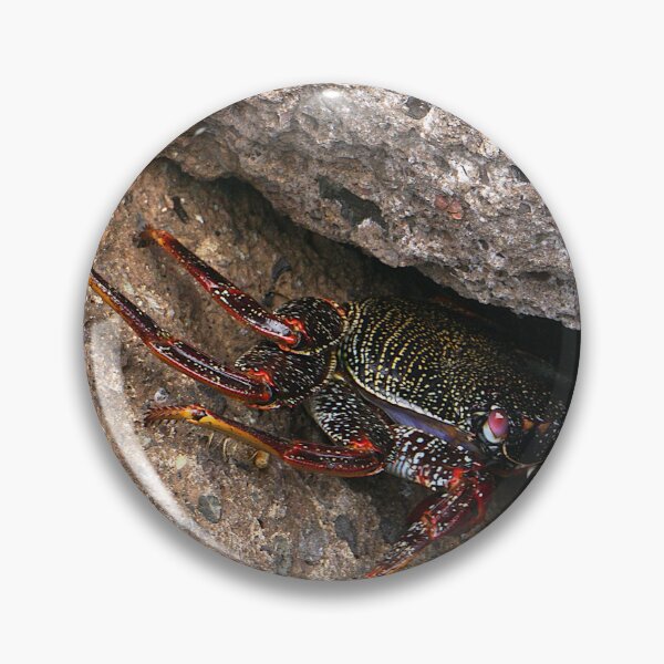 Item preview, Red Rock Crab designed and sold by Nicole Gath.