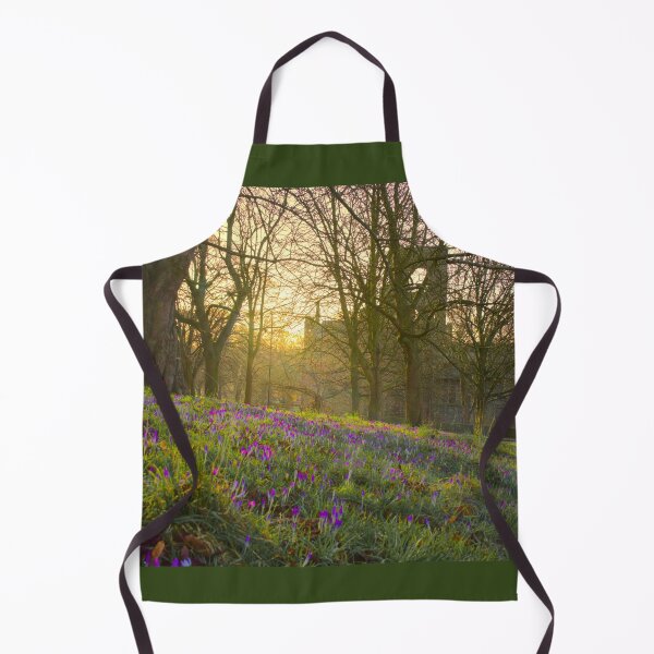 Item preview, Kirkstall Abbey Leeds designed and sold by Alisonchambers2.