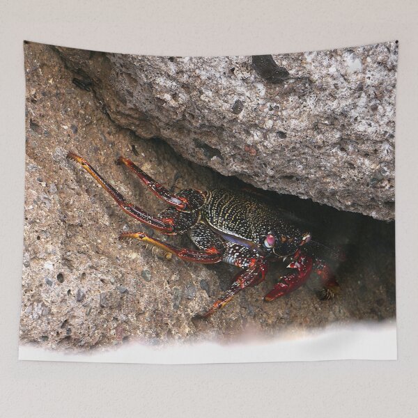 Item preview, Red Rock Crab designed and sold by Nicole Gath.