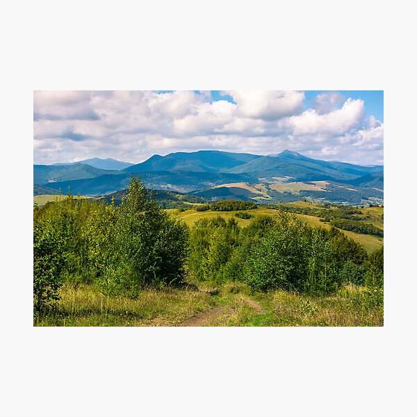 beautiful countryside of Crapathians Photographic Print