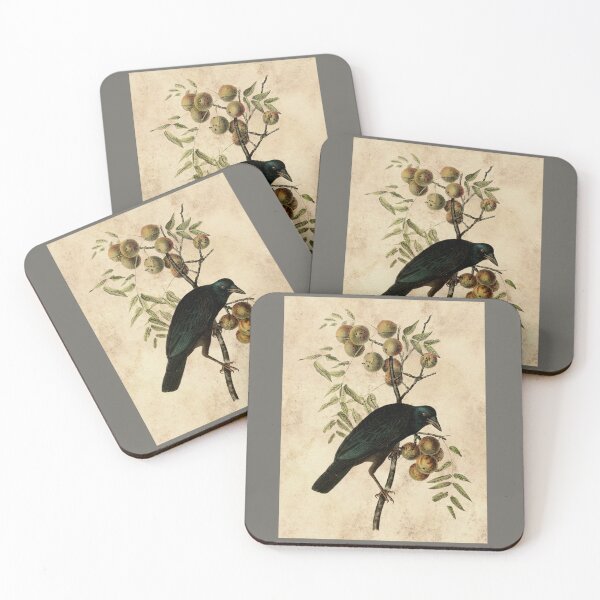 Item preview, A Crow designed and sold by EmeliEsteban.