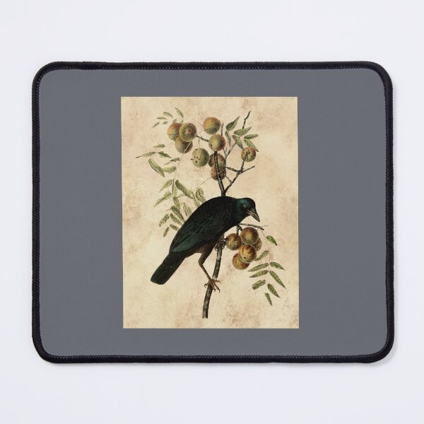 Item preview, A Crow designed and sold by EmeliEsteban.