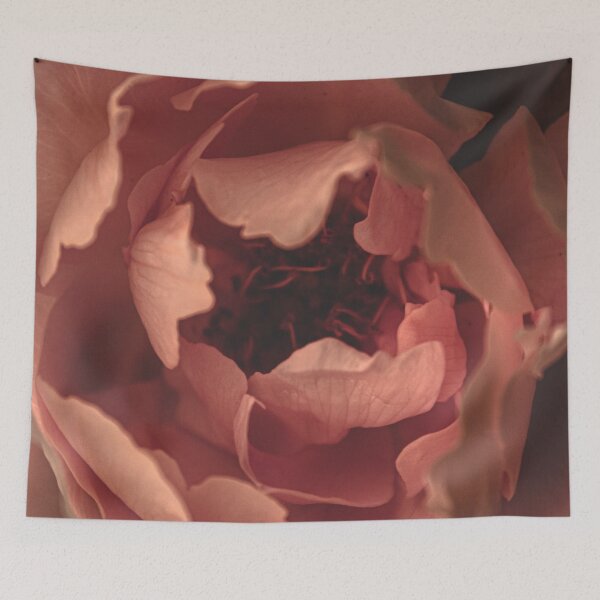 Artikelvorschau, Pink Petals II entworfen und verkauft von victoria frost.