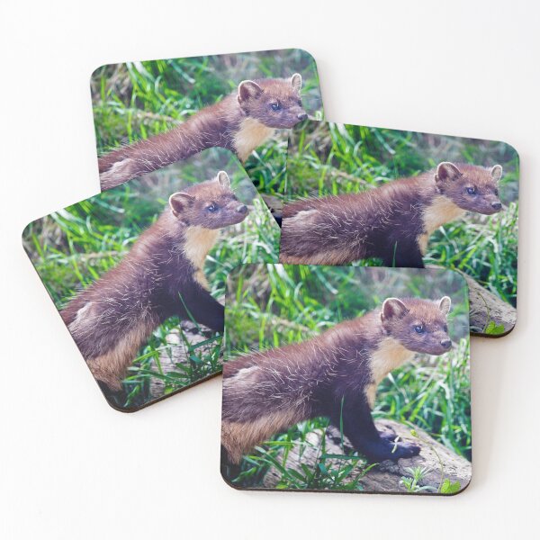 Item preview, Marty designed and sold by Krys Bailey.