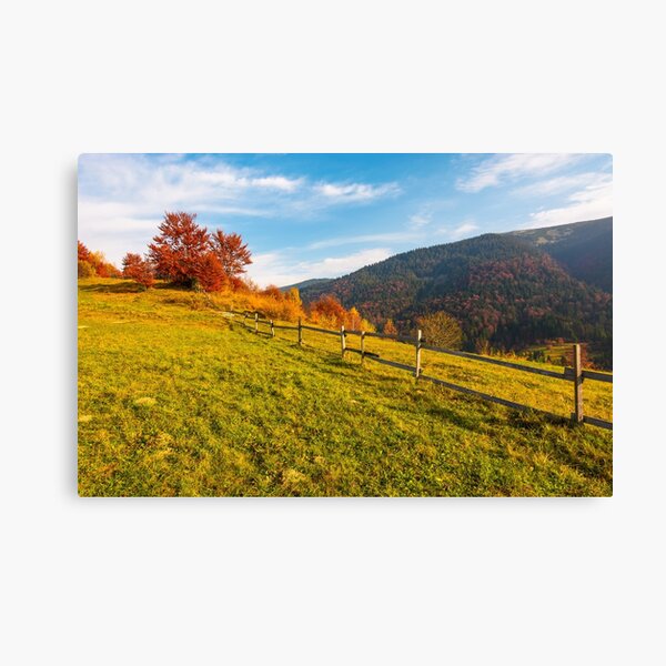 fence along the grassy hillside Canvas Print