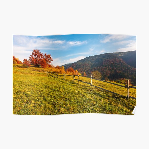 fence along the grassy hillside Poster