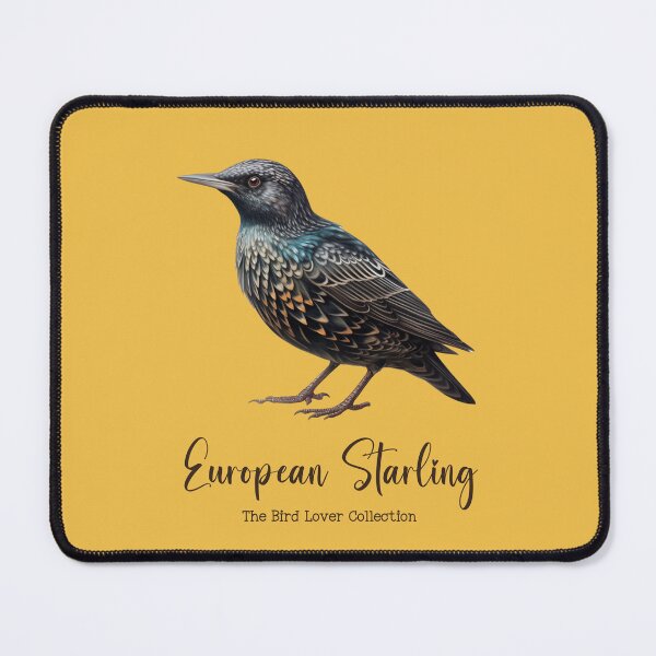 Item preview, European Starling - The Bird Lover Collection designed and sold by GoodOldVintage.