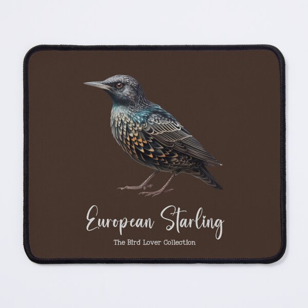Item preview, European Starling - The Bird Lover Collection designed and sold by GoodOldVintage.