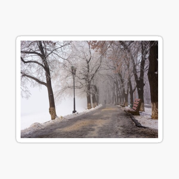 longest european linden alley in winter Sticker