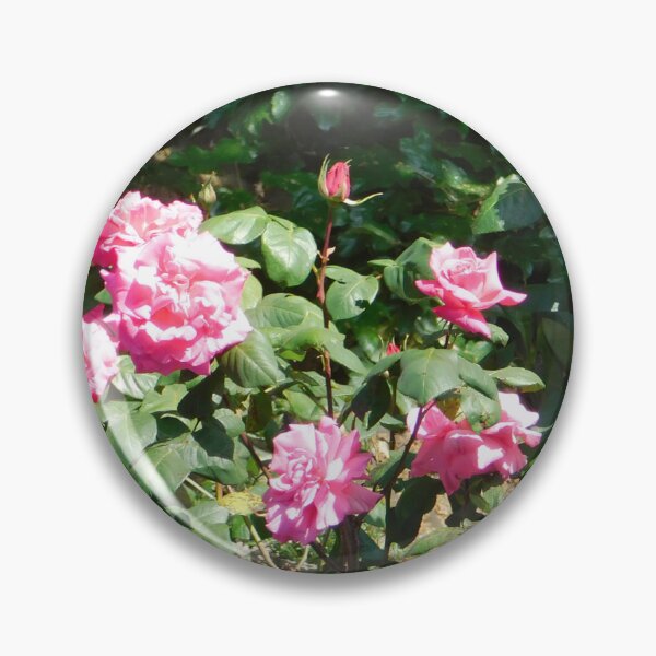 Item preview, rosa rosa de sophie designed and sold by alien almanac.