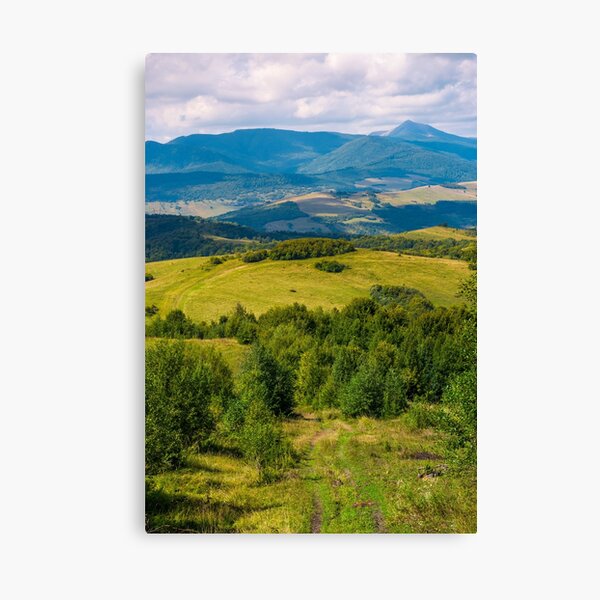 beautiful countryside of Crapathians Canvas Print