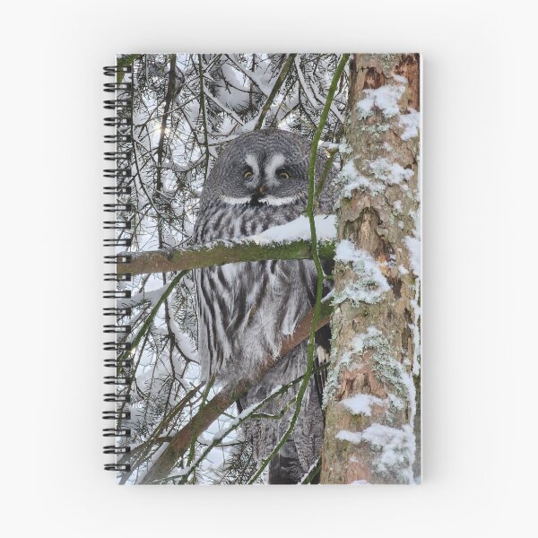 Item preview, Lapland designed and sold by Zoe Baruch.