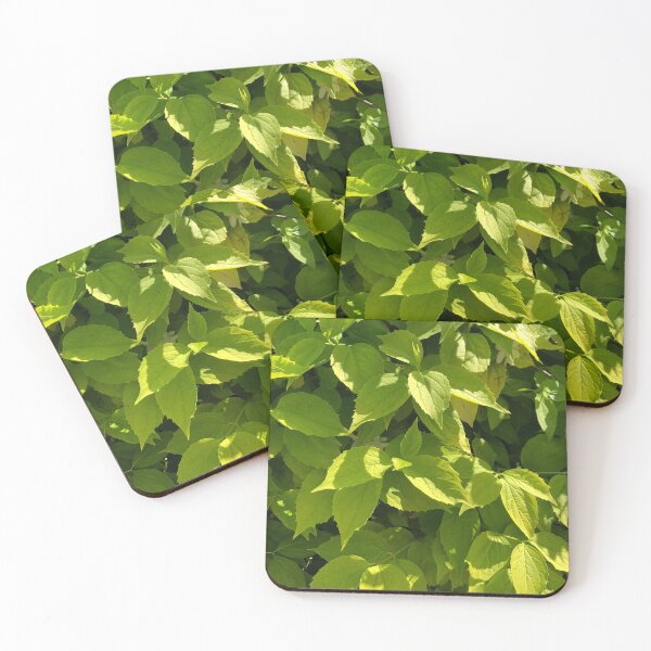 Item preview, Leaf designed and sold by danbellarts.