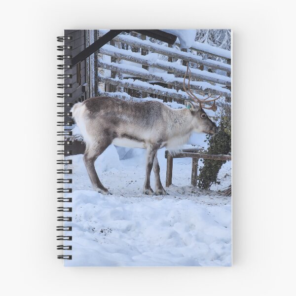 Item preview, Lapland designed and sold by Zoe Baruch.