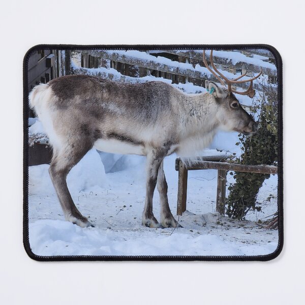 Item preview, Lapland designed and sold by Zoe Baruch.