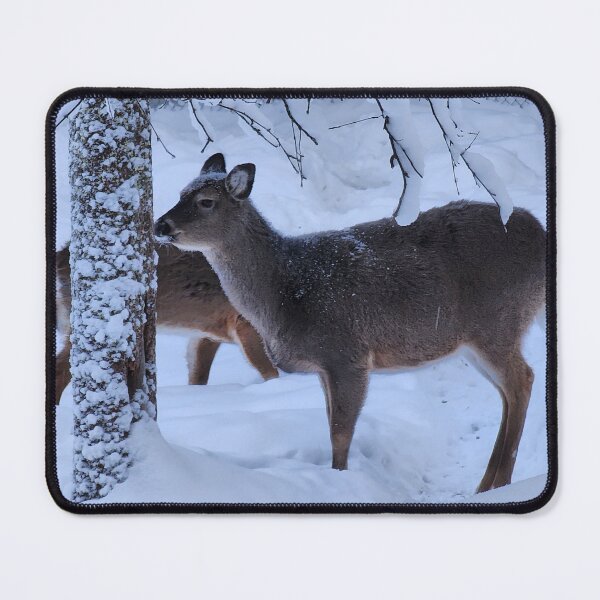 Item preview, Lapland designed and sold by Zoe Baruch.