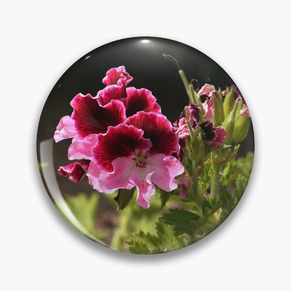 Item preview, Regal pelargonium (Flower Tenerife) designed and sold by Nicole Gath.
