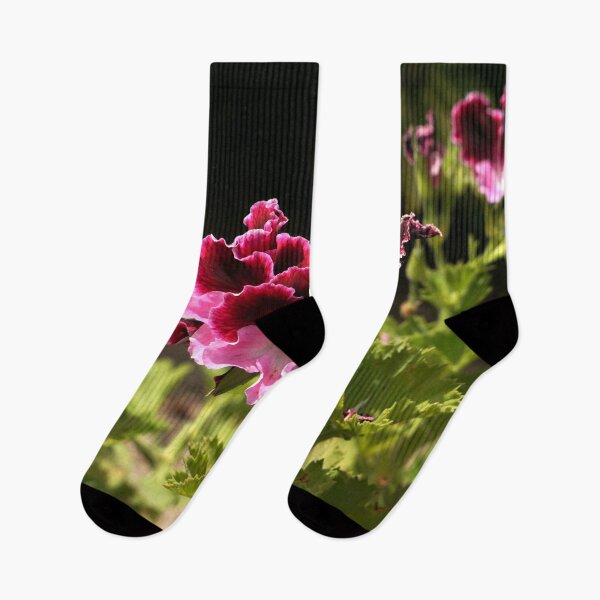 Item preview, Regal pelargonium (Flower Tenerife) designed and sold by Nicole Gath.