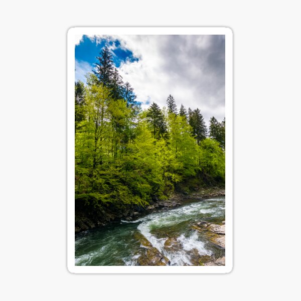 powerful mountain river and forest on a cliff Sticker