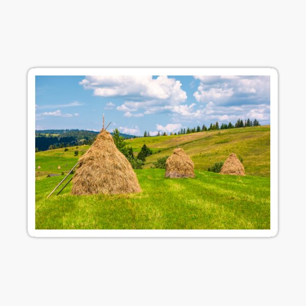 haystacks in a row on a grassy field Sticker