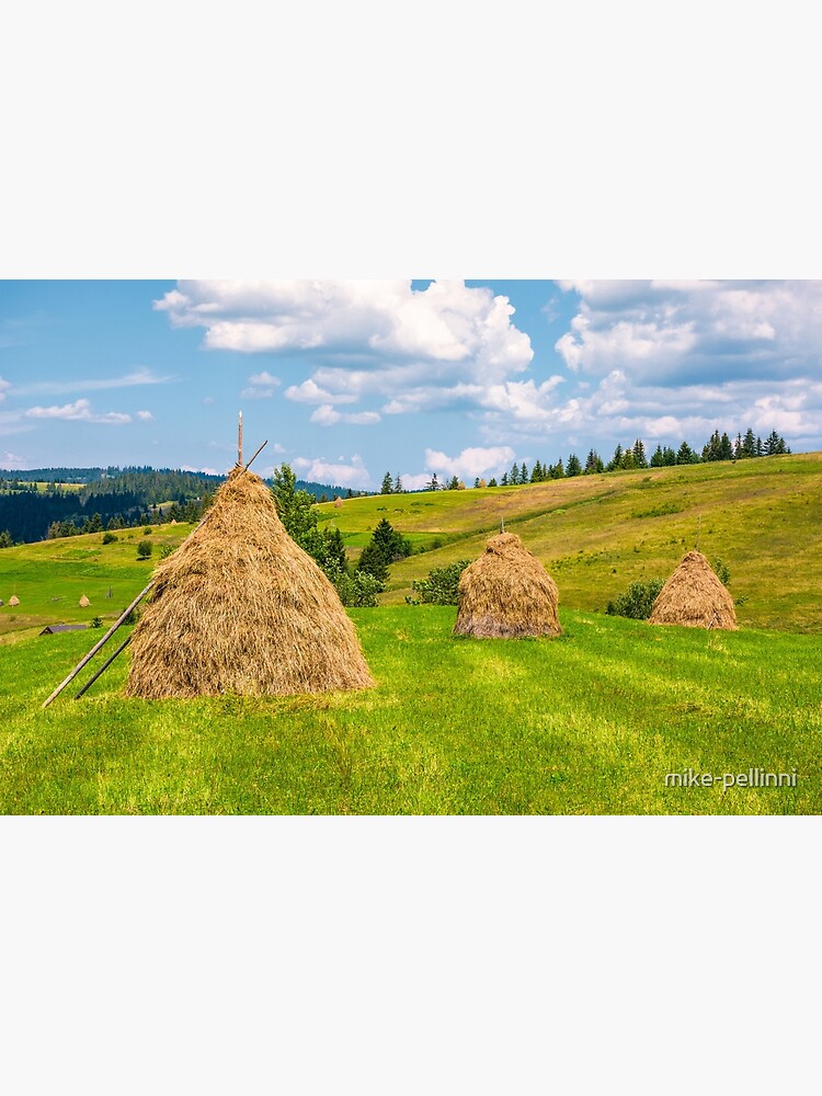 haystacks in a row on a grassy field by mike-pellinni