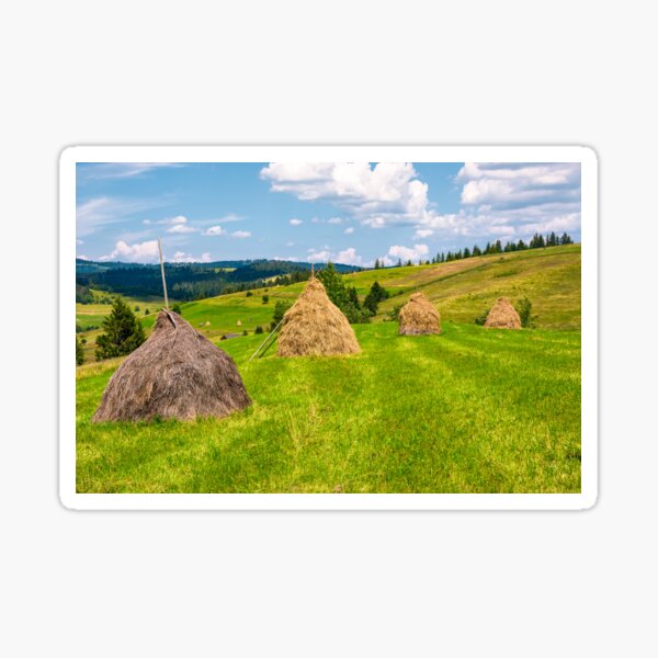haystacks in a row on a grassy field Sticker