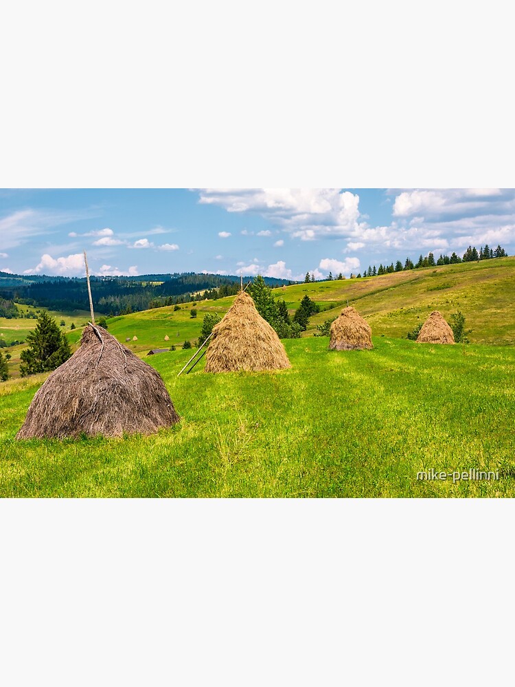 haystacks in a row on a grassy field by mike-pellinni