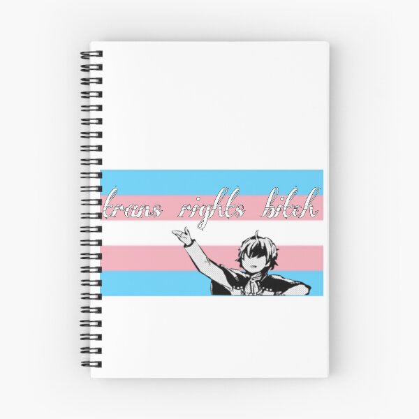 Aperçu de l'œuvre poe dit les droits des trans créée et vendue par SpaceBeez.
