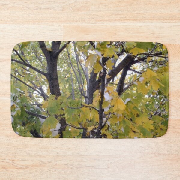 Item preview, Maple Tree with Yellow Leaves designed and sold by Scott and Mary Schneider art_photography.