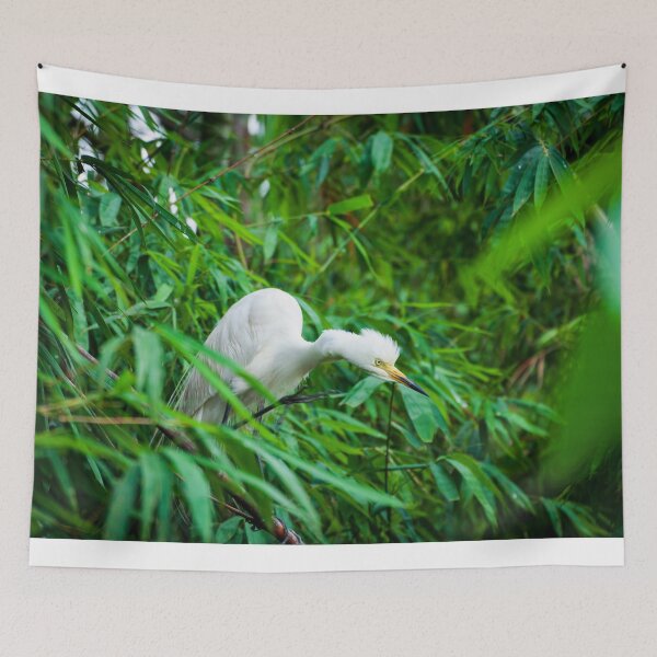 Item preview, Majestic white Egret amidst Lush, Vibrant Bamboo Grove designed and sold by kstanvir.