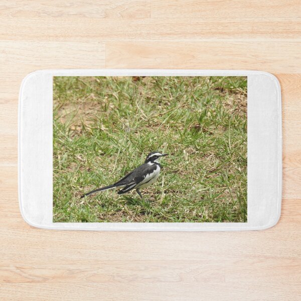 Item preview, African Pied Wagtail designed and sold by Faunagraphy360.