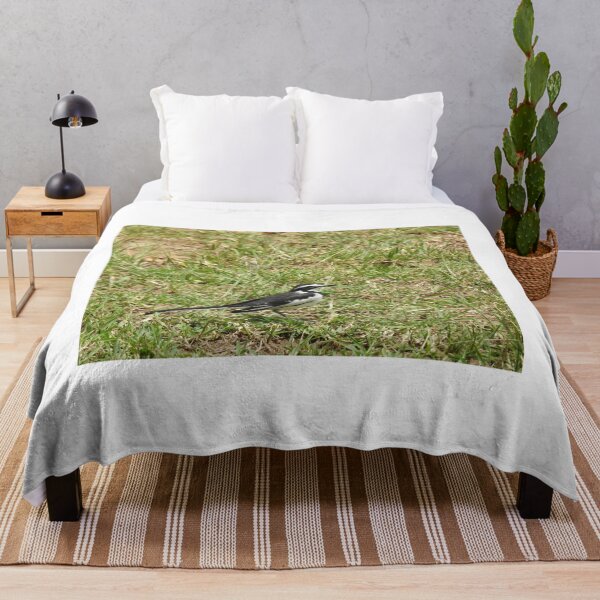 Item preview, African Pied Wagtail designed and sold by Faunagraphy360.