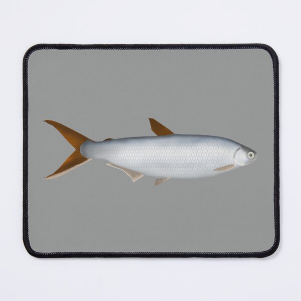 Item preview, Silversides designed and sold by fishfolkart.