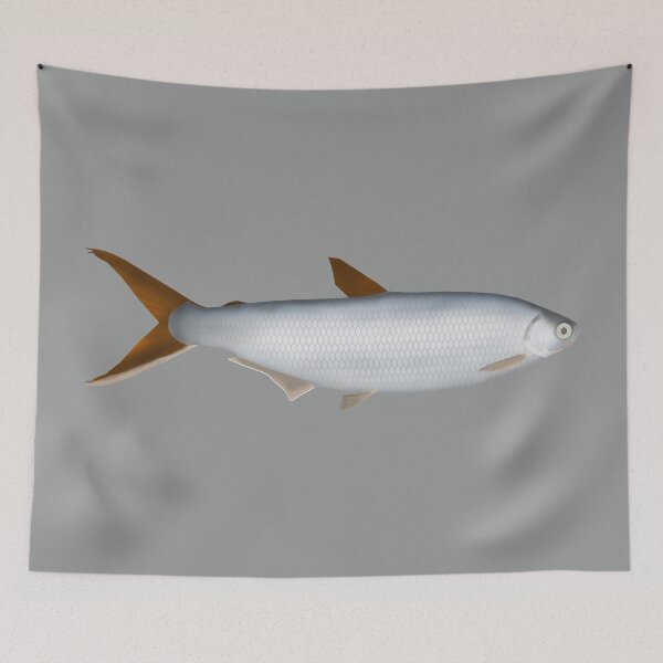 Item preview, Silversides designed and sold by fishfolkart.