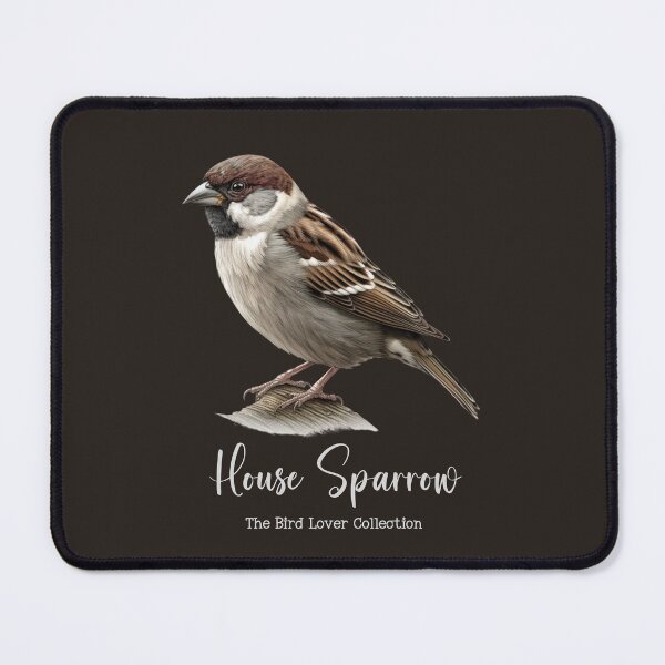 Item preview, House Sparrow - The Bird Lover Collection designed and sold by GoodOldVintage.