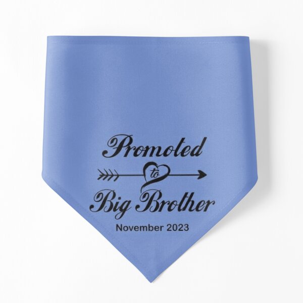 Promoted to Big Brother November 2023 Pet Bandana