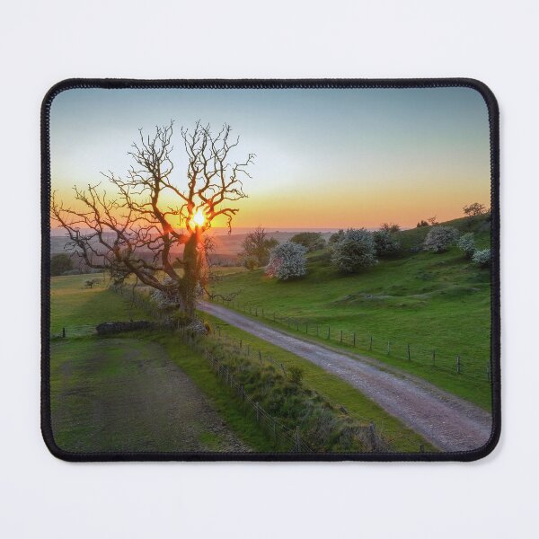 Item preview, Sunset and an old tree designed and sold by Leighton Collins.