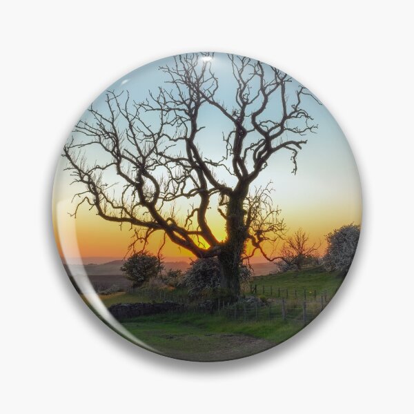 Artikelvorschau, Gruseliger Baum bei Sonnenuntergang entworfen und verkauft von Leighton Collins.