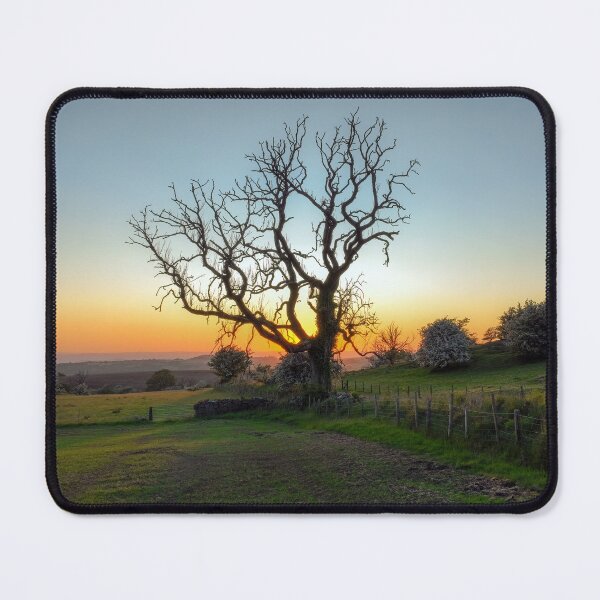 Item preview, Spooky tree at sunset designed and sold by Leighton Collins.