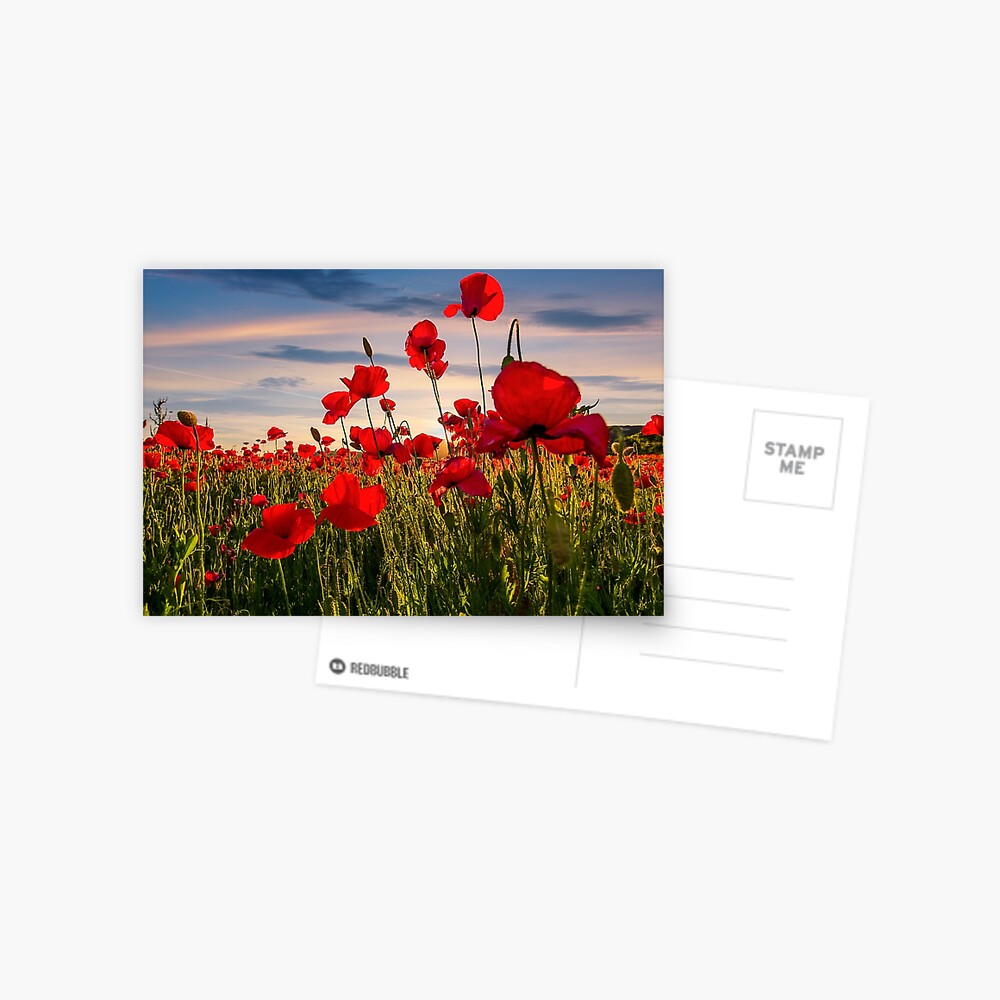 Item preview, Postcard designed and sold by mike-pellinni.