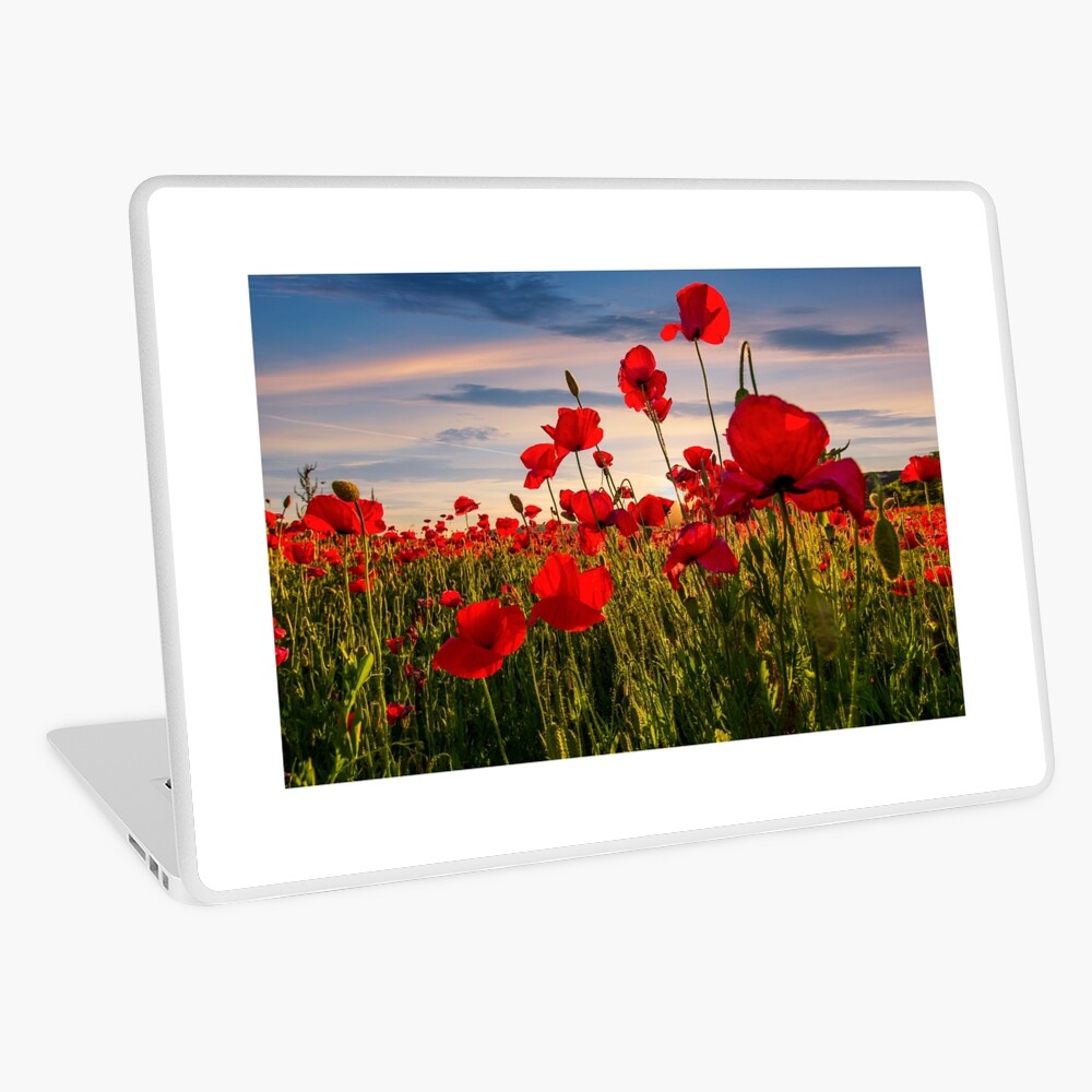 Item preview, Laptop Skin designed and sold by mike-pellinni.