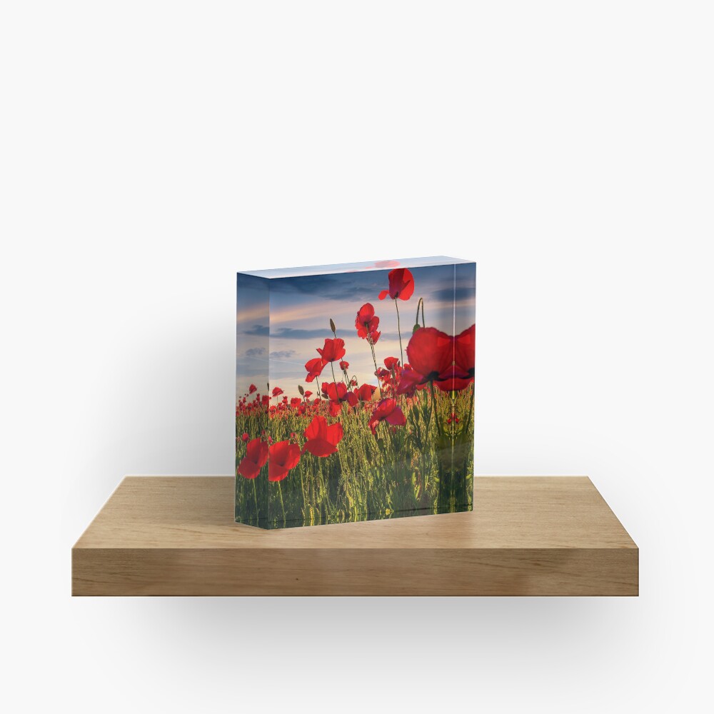 Item preview, Acrylic Block designed and sold by mike-pellinni.
