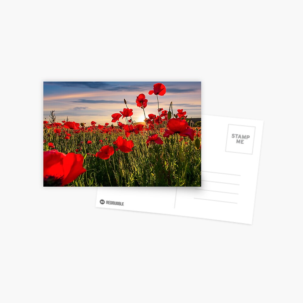 Item preview, Postcard designed and sold by mike-pellinni.