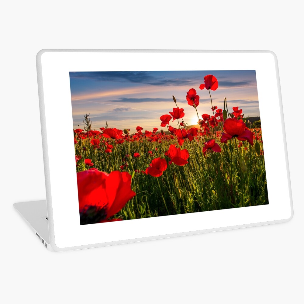 Item preview, Laptop Skin designed and sold by mike-pellinni.